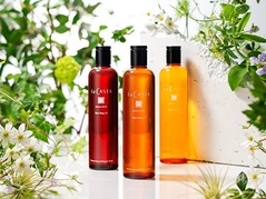 シーズンアイテム