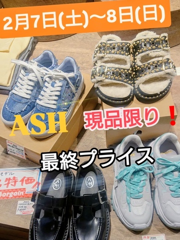 セール｜MONA新浦安 | 新浦安駅直結のショッピングセンター