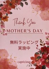 シーズンアイテム