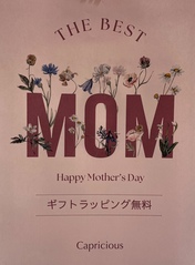 シーズンアイテム